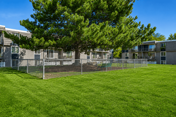 Park station bark park for pets
